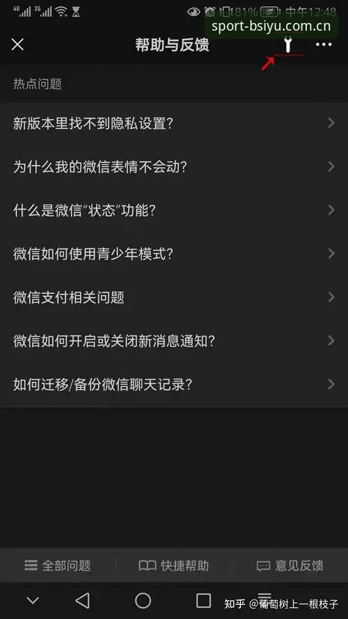 B体育稳定体验教程 如何通过B体育稳定体验教程解决卡顿和支付问题?